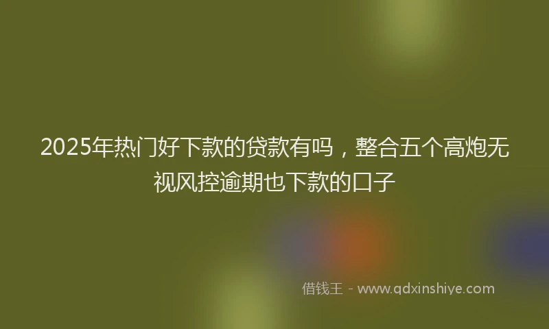 2025年热门好下款的贷款有吗，整合五个高炮无视风控逾期也下款的口子