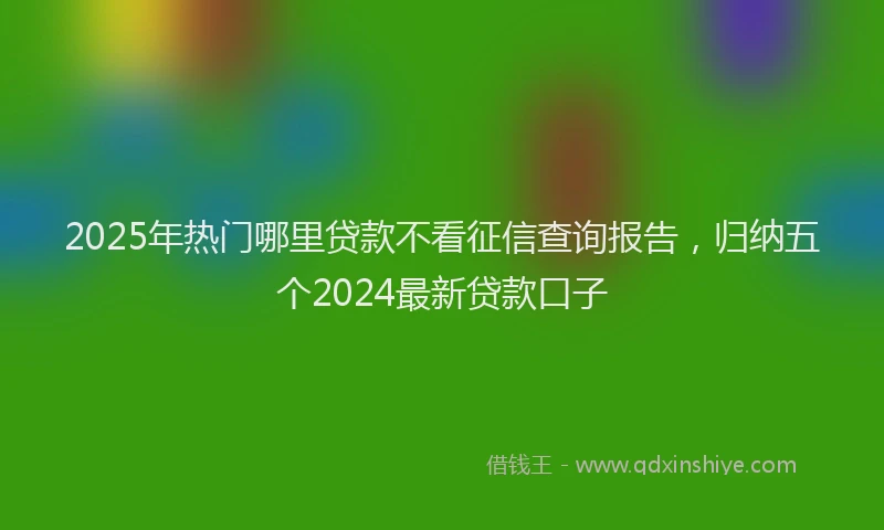 2025年热门哪里贷款不看征信查询报告，归纳五个2024最新贷款口子