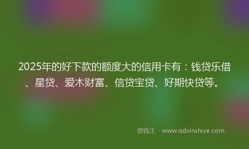 2025年的好下款的额度大的信用卡有：钱贷乐借、星贷、爱木财富、信贷宝贷、好期快贷等。