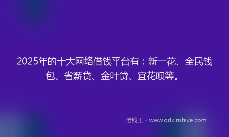 2025年的十大网络借钱平台有：新一花、全民钱包、省薪贷、金叶贷、宜花呗等。