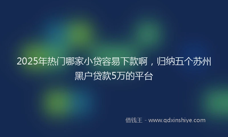 2025年热门哪家小贷容易下款啊，归纳五个苏州黑户贷款5万的平台