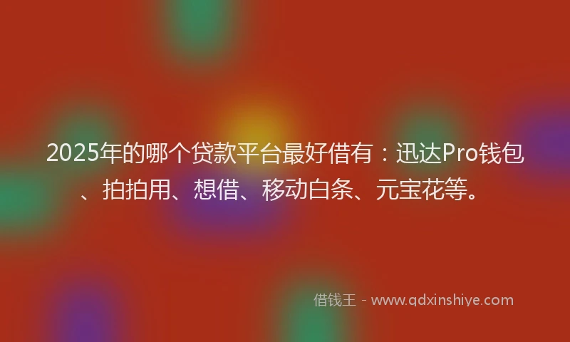 2025年的哪个贷款平台最好借有：迅达Pro钱包、拍拍用、想借、移动白条、元宝花等。