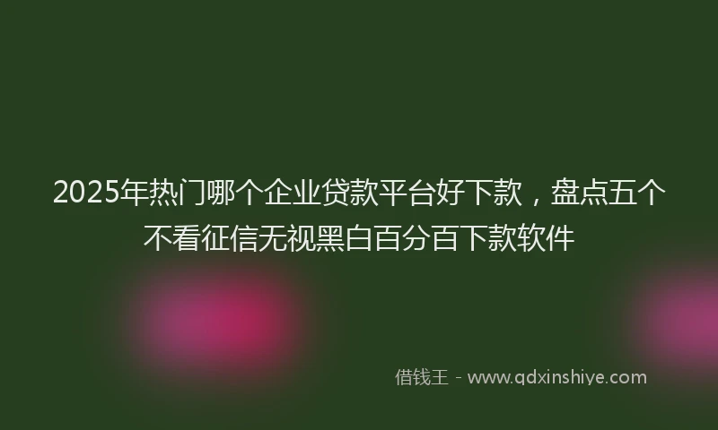 2025年热门哪个企业贷款平台好下款，盘点五个不看征信无视黑白百分百下款软件