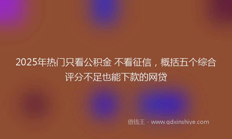 2025年热门只看公积金 不看征信，概括五个综合评分不足也能下款的网贷