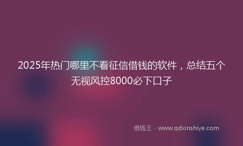 2025年热门哪里不看征信借钱的软件，总结五个无视风控8000必下口子