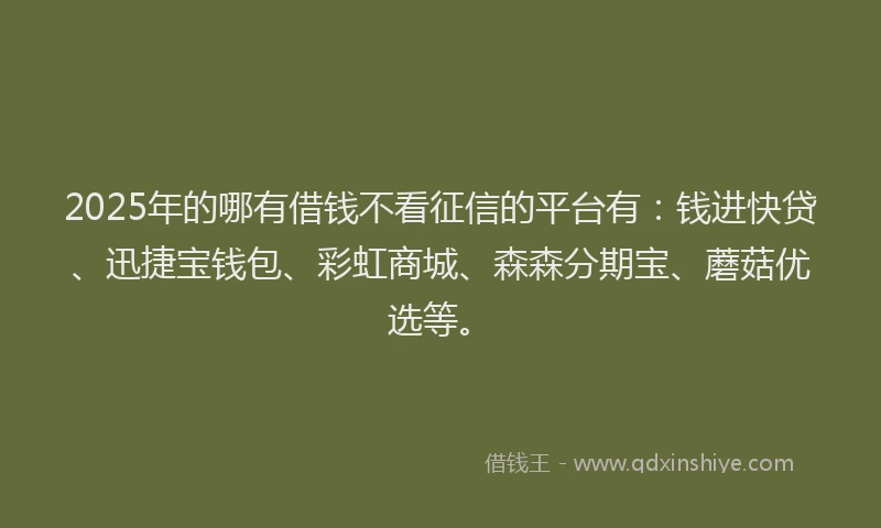 2025年的哪有借钱不看征信的平台有：钱进快贷、迅捷宝钱包、彩虹商城、森森分期宝、蘑菇优选等。