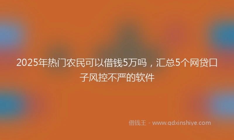 2025年热门农民可以借钱5万吗，汇总5个网贷口子风控不严的软件