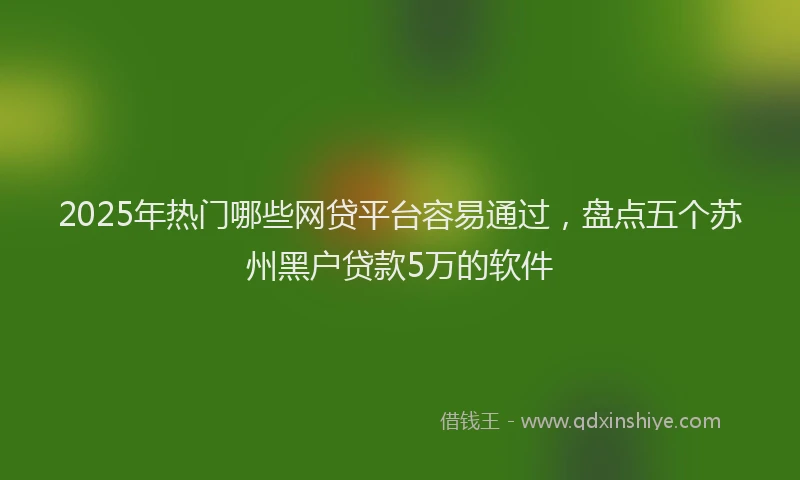 2025年热门哪些网贷平台容易通过，盘点五个苏州黑户贷款5万的软件