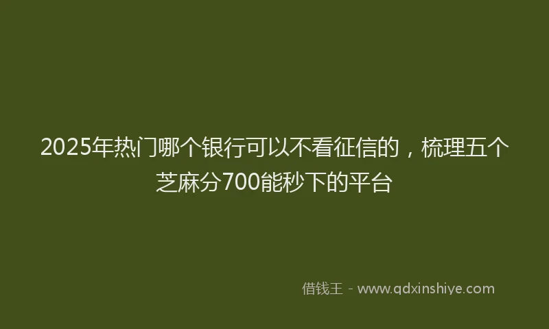 2025年热门哪个银行可以不看征信的，梳理五个芝麻分700能秒下的平台