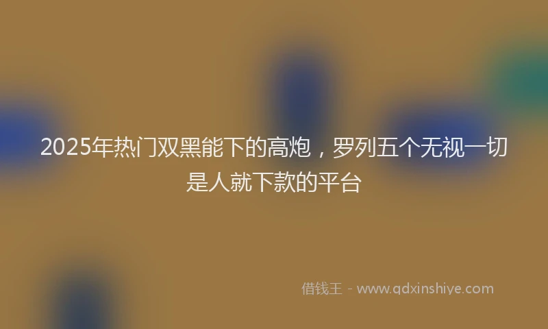 2025年热门双黑能下的高炮，罗列五个无视一切是人就下款的平台