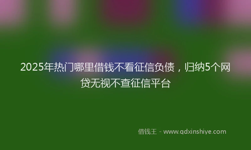 2025年热门哪里借钱不看征信负债，归纳5个网贷无视不查征信平台