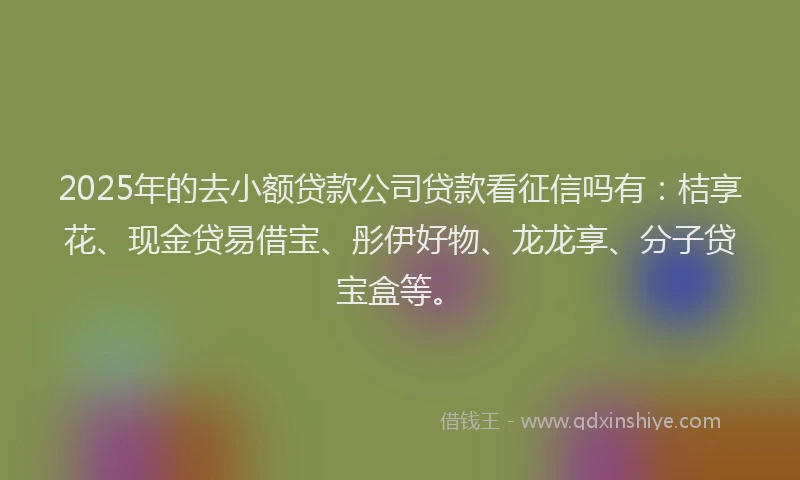 2025年的去小额贷款公司贷款看征信吗有：桔享花、现金贷易借宝、彤伊好物、龙龙享、分子贷宝盒等。