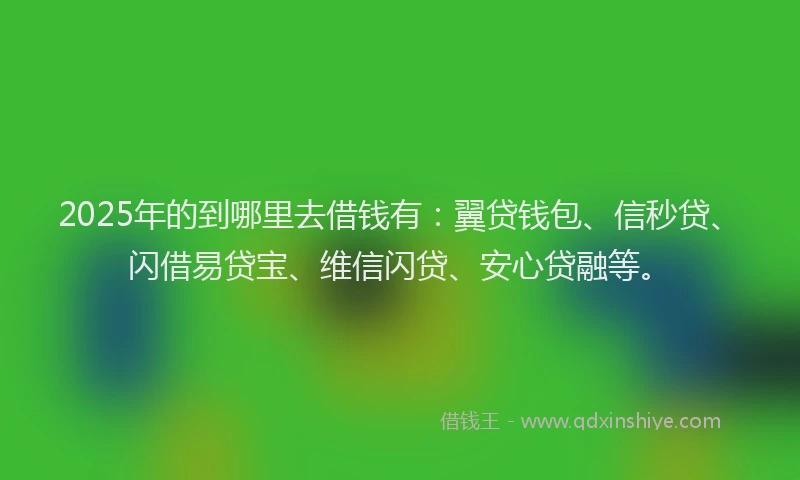 2025年的到哪里去借钱有：翼贷钱包、信秒贷、闪借易贷宝、维信闪贷、安心贷融等。