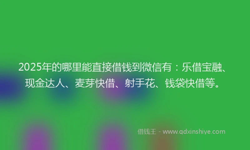 2025年的哪里能直接借钱到微信有：乐借宝融、现金达人、麦芽快借、射手花、钱袋快借等。