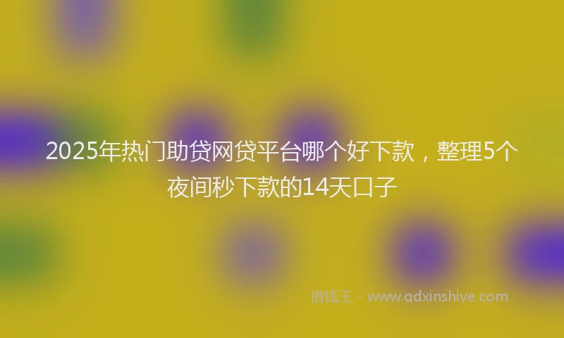 2025年热门助贷网贷平台哪个好下款，整理5个夜间秒下款的14天口子
