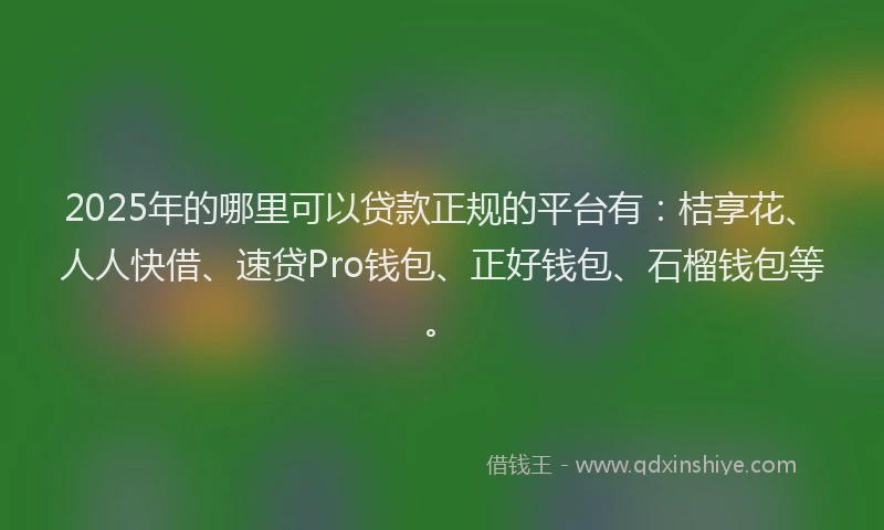 2025年的哪里可以贷款正规的平台有：桔享花、人人快借、速贷Pro钱包、正好钱包、石榴钱包等。