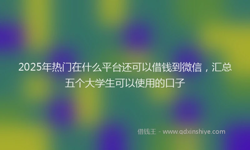 2025年热门在什么平台还可以借钱到微信，汇总五个大学生可以使用的口子