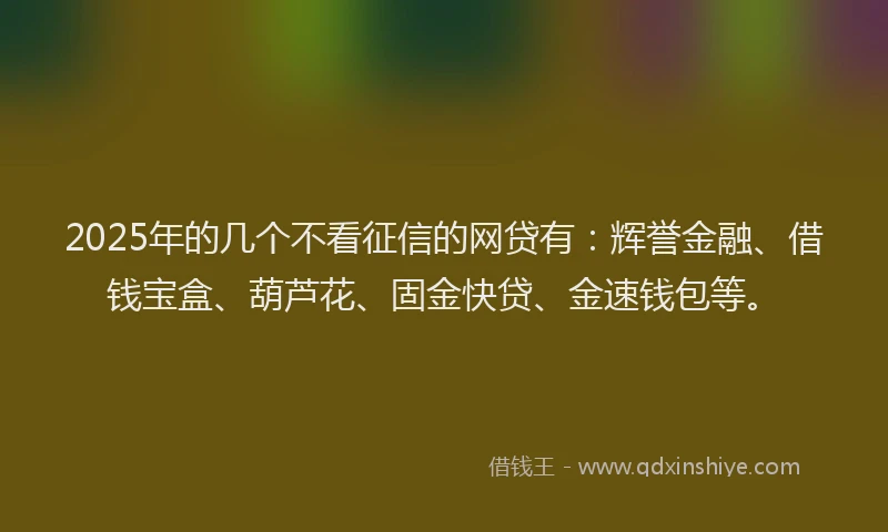 2025年的几个不看征信的网贷有：辉誉金融、借钱宝盒、葫芦花、固金快贷、金速钱包等。