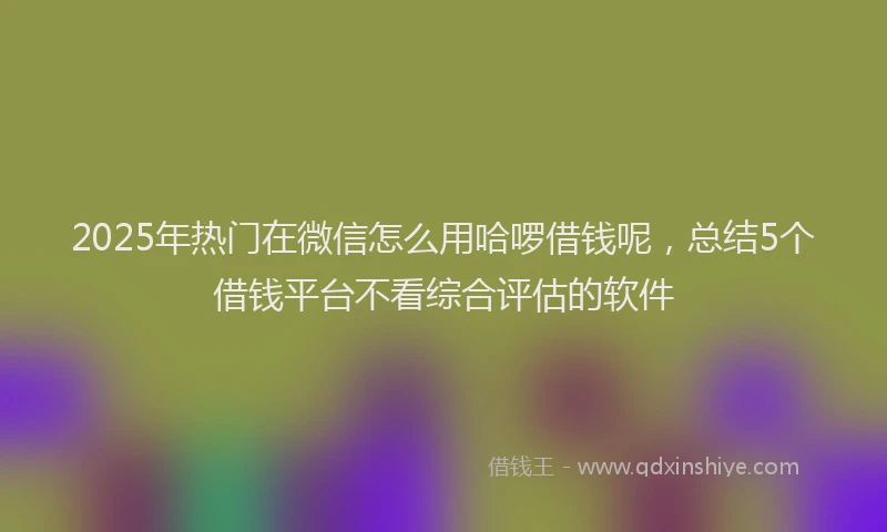 2025年热门在微信怎么用哈啰借钱呢，总结5个借钱平台不看综合评估的软件