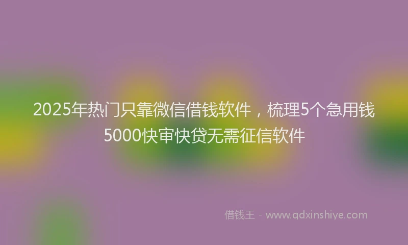 2025年热门只靠微信借钱软件，梳理5个急用钱5000快审快贷无需征信软件