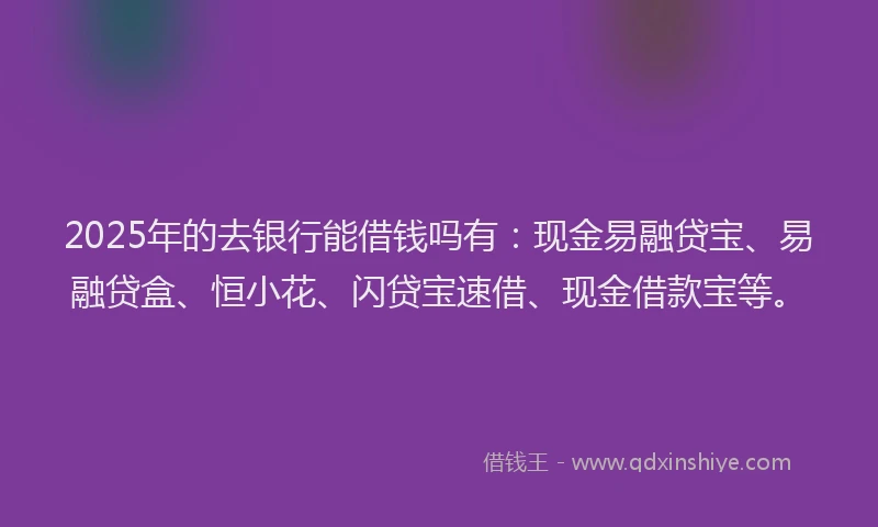 2025年的去银行能借钱吗有：现金易融贷宝、易融贷盒、恒小花、闪贷宝速借、现金借款宝等。