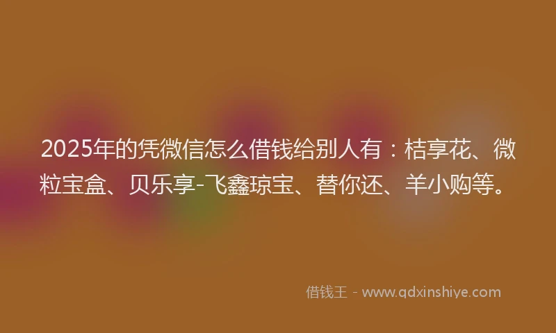 2025年的凭微信怎么借钱给别人有：桔享花、微粒宝盒、贝乐享-飞鑫琼宝、替你还、羊小购等。