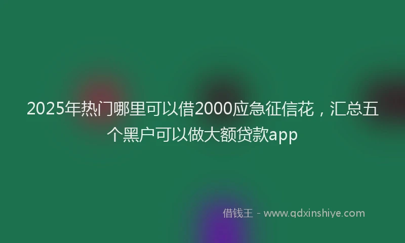 2025年热门哪里可以借2000应急征信花，汇总五个黑户可以做大额贷款app