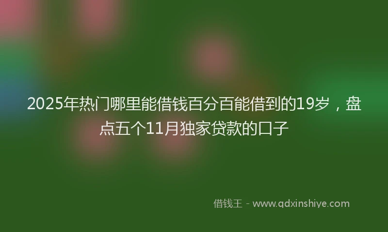 2025年热门哪里能借钱百分百能借到的19岁，盘点五个11月独家贷款的口子