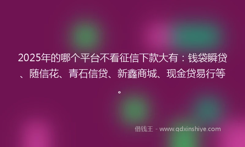 2025年的哪个平台不看征信下款大有：钱袋瞬贷、随信花、青石信贷、新鑫商城、现金贷易行等。