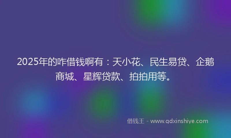 2025年的咋借钱啊有：天小花、民生易贷、企鹅商城、星辉贷款、拍拍用等。