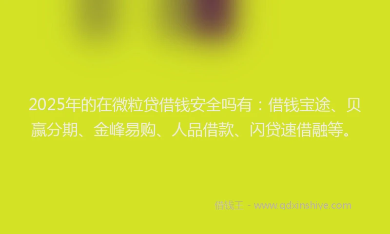 2025年的在微粒贷借钱安全吗有：借钱宝途、贝赢分期、金峰易购、人品借款、闪贷速借融等。