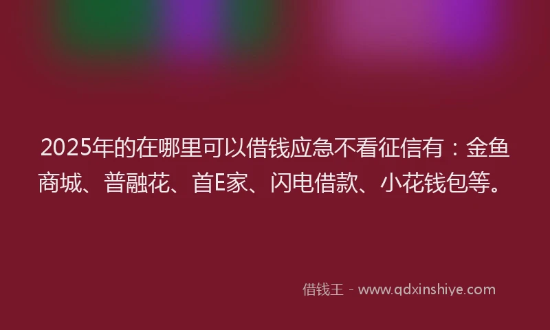2025年的在哪里可以借钱应急不看征信有：金鱼商城、普融花、首E家、闪电借款、小花钱包等。