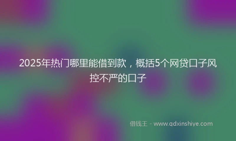 2025年热门哪里能借到款，概括5个网贷口子风控不严的口子