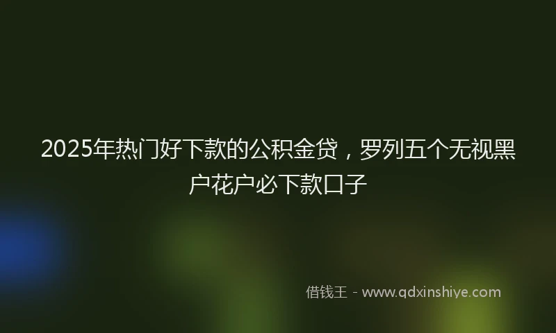 2025年热门好下款的公积金贷，罗列五个无视黑户花户必下款口子