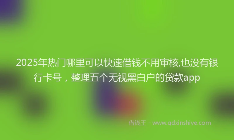 2025年热门哪里可以快速借钱不用审核,也没有银行卡号，整理五个无视黑白户的贷款app