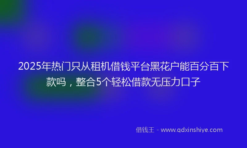2025年热门只从租机借钱平台黑花户能百分百下款吗，整合5个轻松借款无压力口子