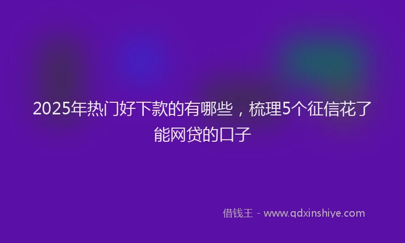 2025年热门好下款的有哪些，梳理5个征信花了能网贷的口子