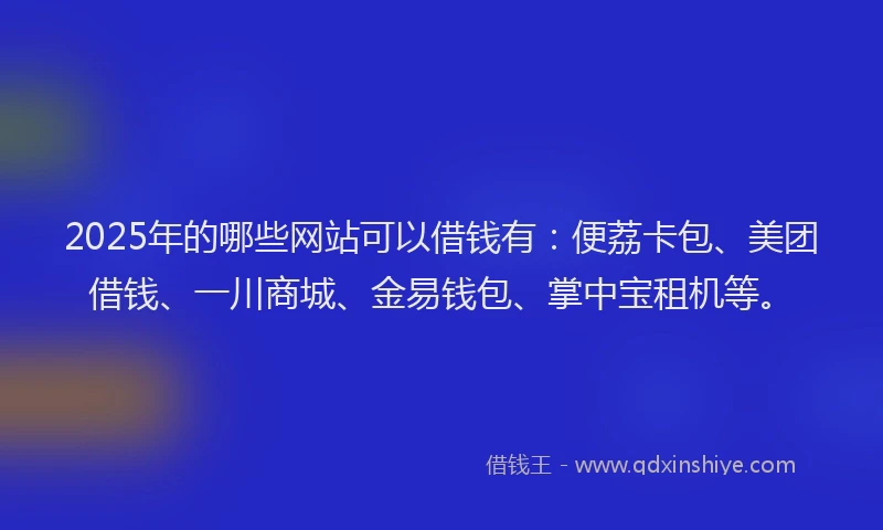 2025年的哪些网站可以借钱有：便荔卡包、美团借钱、一川商城、金易钱包、掌中宝租机等。