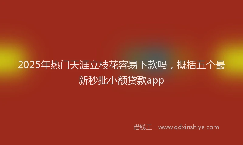 2025年热门天涯立枝花容易下款吗，概括五个最新秒批小额贷款app