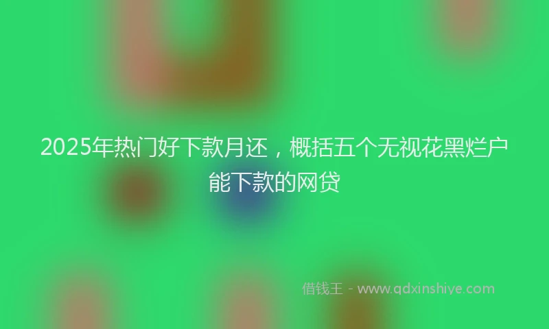 2025年热门好下款月还，概括五个无视花黑烂户能下款的网贷