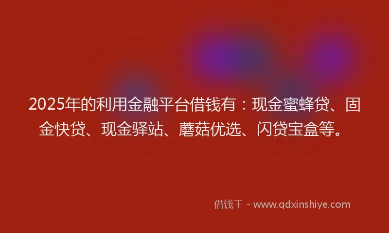 2025年的利用金融平台借钱有：现金蜜蜂贷、固金快贷、现金驿站、蘑菇优选、闪贷宝盒等。