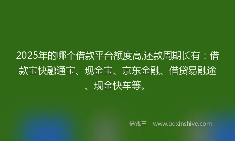 2025年的哪个借款平台额度高,还款周期长有：借款宝快融通宝、现金宝、京东金融、借贷易融途、现金快车等。