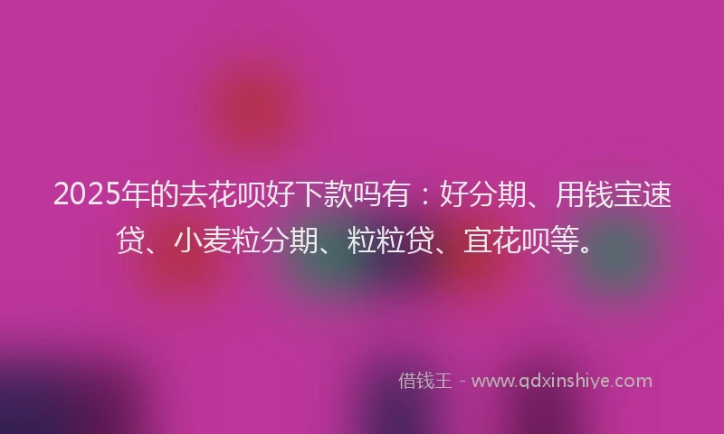 2025年的去花呗好下款吗有：好分期、用钱宝速贷、小麦粒分期、粒粒贷、宜花呗等。