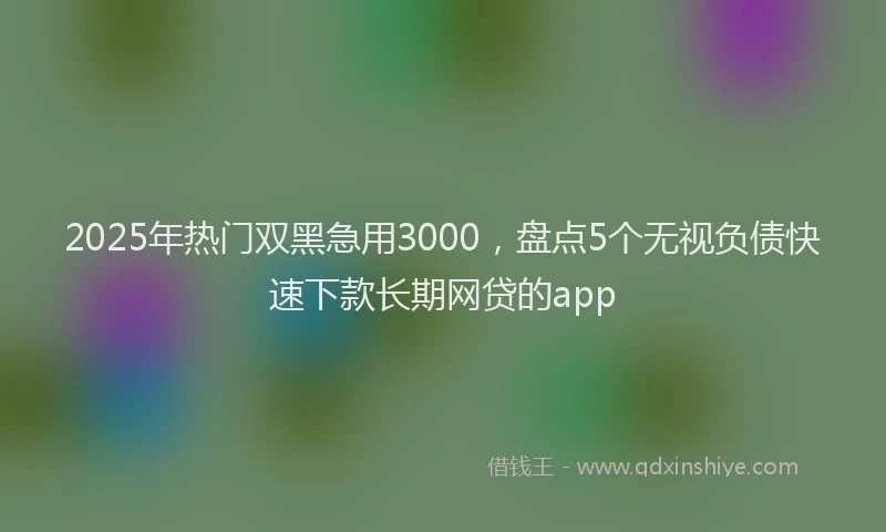 2025年热门双黑急用3000，盘点5个无视负债快速下款长期网贷的app