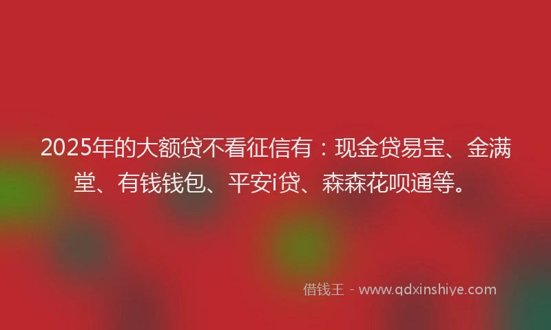 2025年的大额贷不看征信有：现金贷易宝、金满堂、有钱钱包、平安i贷、森森花呗通等。
