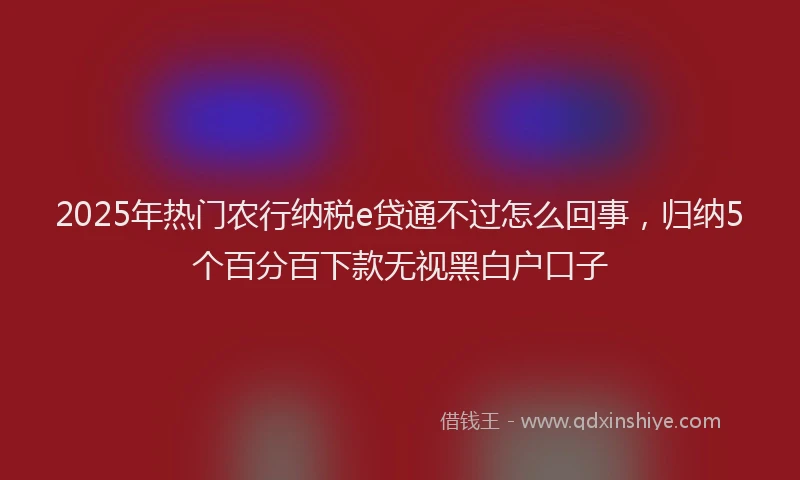 2025年热门农行纳税e贷通不过怎么回事，归纳5个百分百下款无视黑白户口子