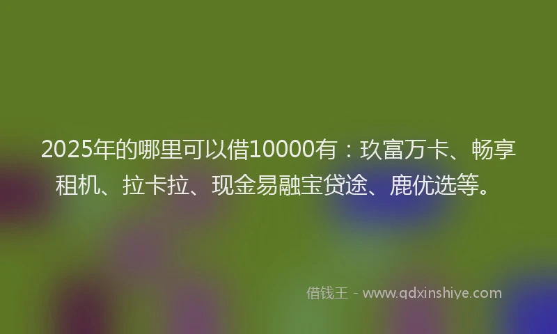 2025年的哪里可以借10000有：玖富万卡、畅享租机、拉卡拉、现金易融宝贷途、鹿优选等。