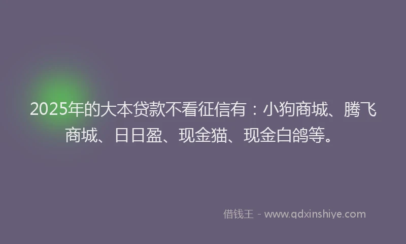 2025年的大本贷款不看征信有：小狗商城、腾飞商城、日日盈、现金猫、现金白鸽等。