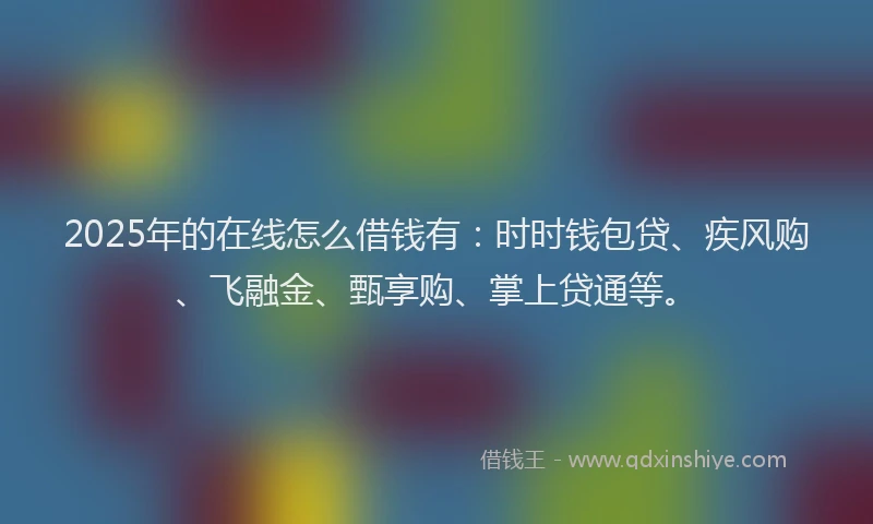 2025年的在线怎么借钱有：时时钱包贷、疾风购、飞融金、甄享购、掌上贷通等。