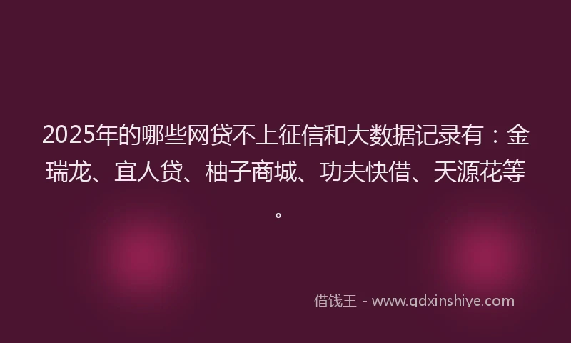 2025年的哪些网贷不上征信和大数据记录有：金瑞龙、宜人贷、柚子商城、功夫快借、天源花等。